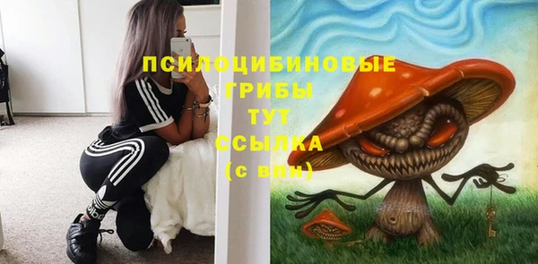MDMA Premium VHQ Новозыбков