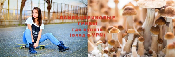 MDMA Premium VHQ Абинск