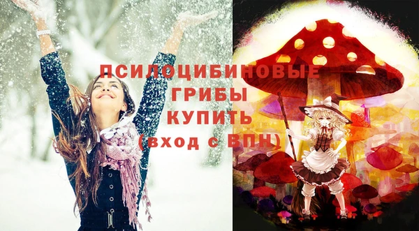 хмурый Абдулино